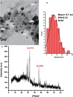 Biogenically Synthesized Polysaccharides-Capped Silver Nanoparticles: Immunomodulatory and Antibacterial Potentialities Against Resistant Pseudomonas aeruginosa